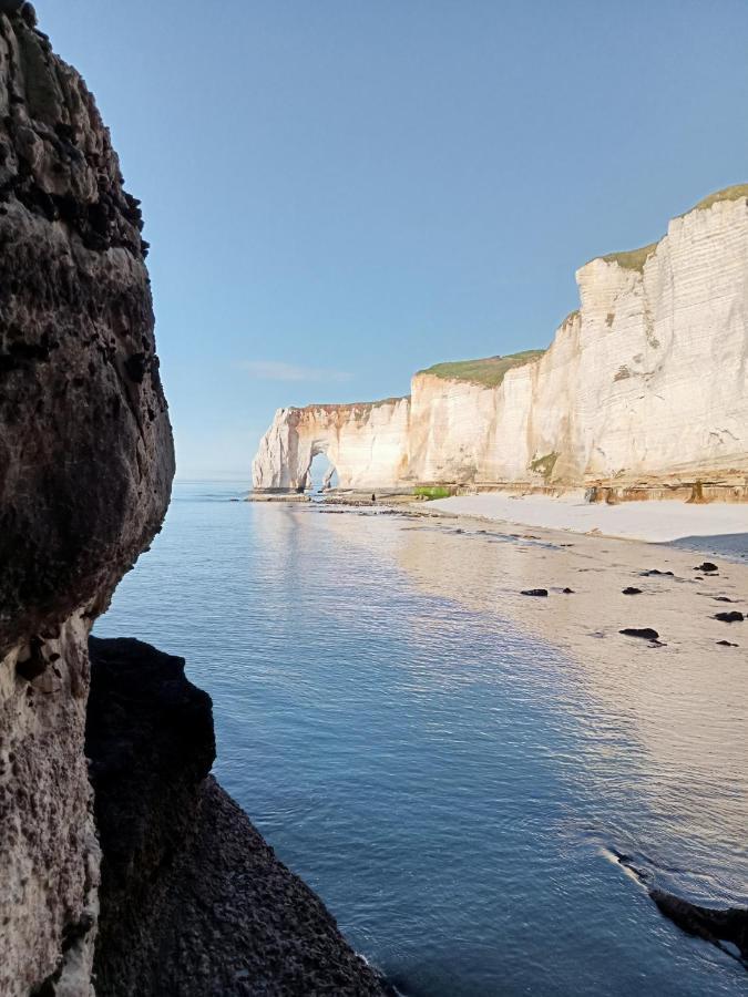 Les Charmes Du Bosquet Parc D'Amour Et Nature Parking Prive Securise Etretat Bagian luar foto