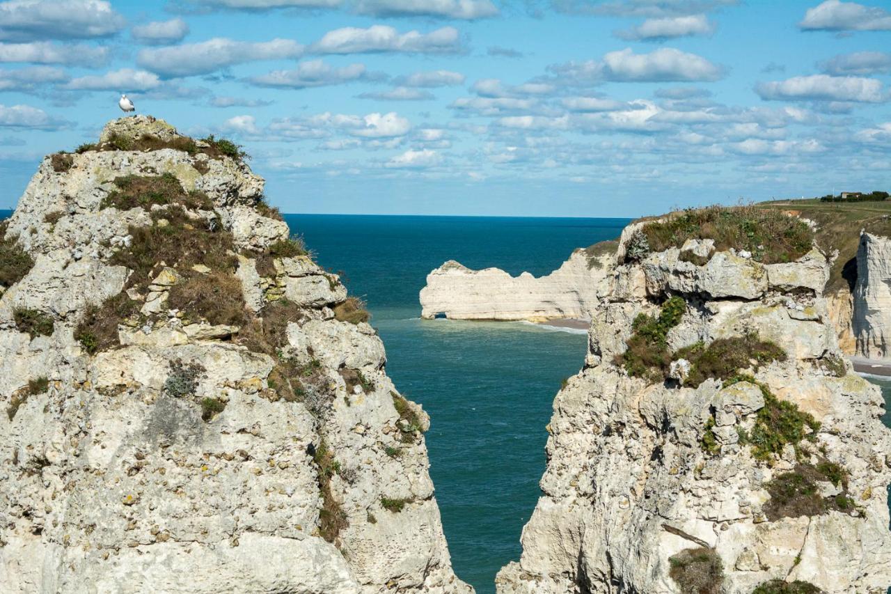 Les Charmes Du Bosquet Parc D'Amour Et Nature Parking Prive Securise Etretat Bagian luar foto
